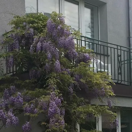 Przy Plaży Kamienna Góra Gdynia