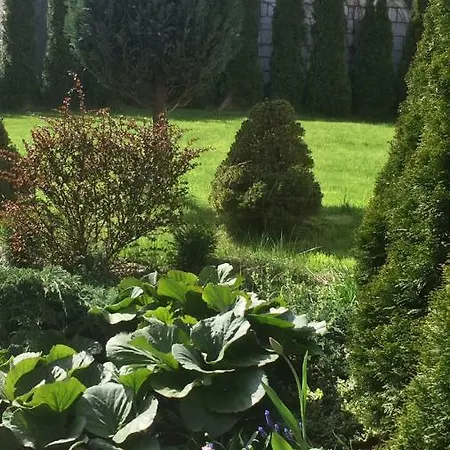 Przy Plazy Kamienna Gora