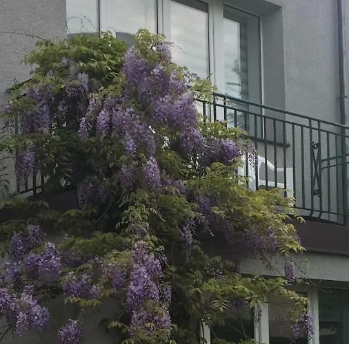 Przy Plazy Kamienna Gora Gdynia