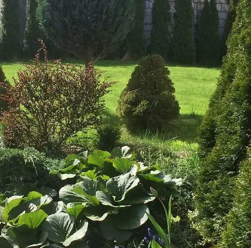 Przy Plazy Kamienna Gora